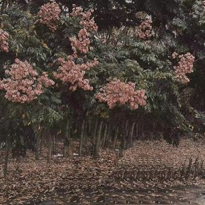 日本美女操逼动态图
